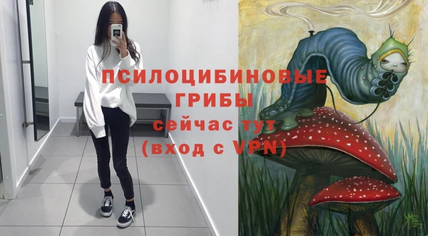 спиды Алексин